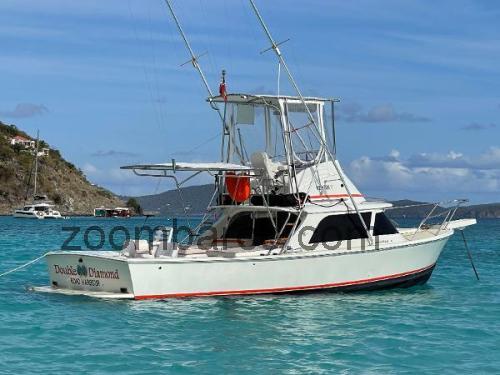 Bertram 31 Sportfish ficha tecnica 